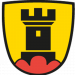 FC Altstetten